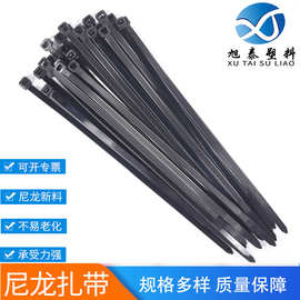 厂家大量自锁式尼龙扎带跨境束线带黑色塑料扎带扎线带黑白扎带
