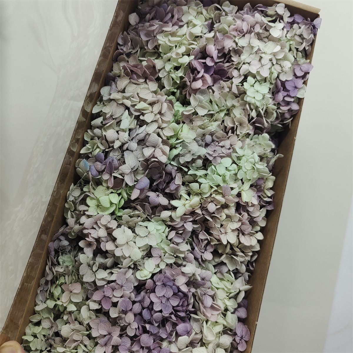 Flor eterna Hortensia Anna pequeña hoja flor seca flor real árbol de Navidad ventilador hecho a mano ramo DIY material paquete flor