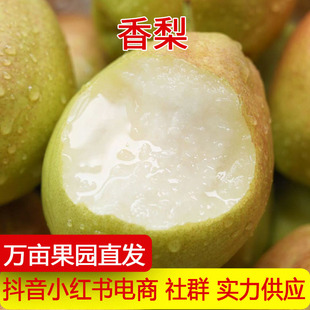 ��S���f�a��ֱ�l�½�����ĸ��С�������������r�ЋDˮ��һ�����l