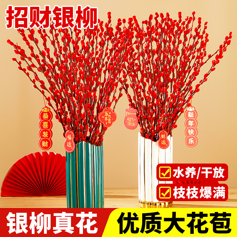 银柳真花鲜枝客厅摆件红色年宵花花卉干花干枝盆栽抱抱桶水培植物