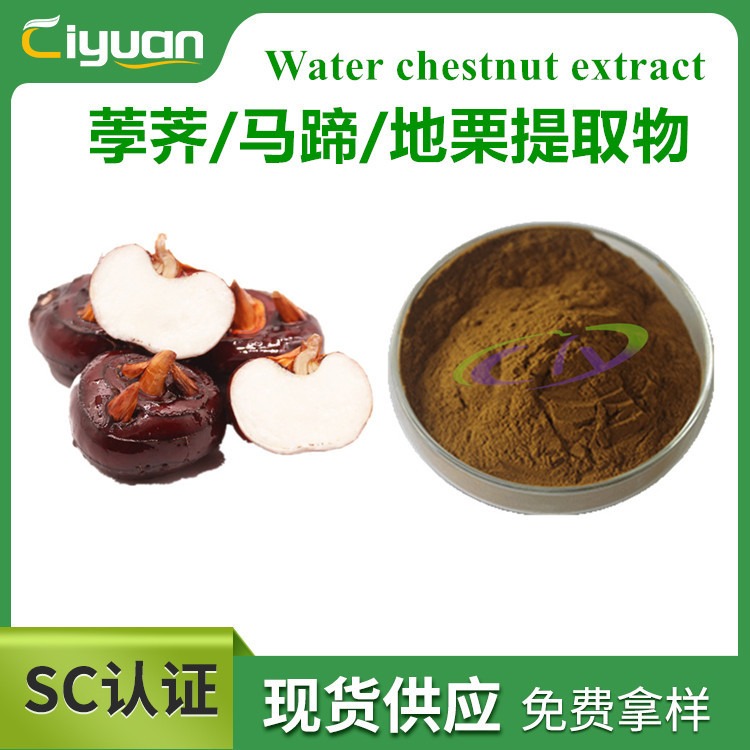 SC厂家：荸荠提取物  马蹄/地栗提取物 多规格 厂家现货供应