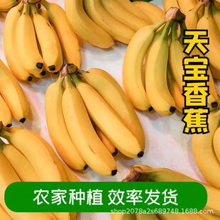 ���������쌚��Ʒ�㽶9����Ƥ���r�ҬFժ�������rˮ���㽶banana
