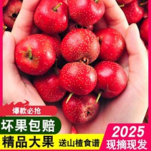 ���rɽ髹���ɽ��r���t���rɽ髴��ɽ��t���Ǻ��J�ìFժ��ɽ�