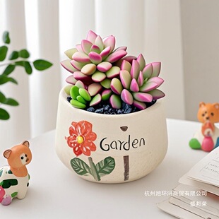 ����ֲ��M���҃�С���Ԏ��մɻ������Ϙ�������Gֲ��������