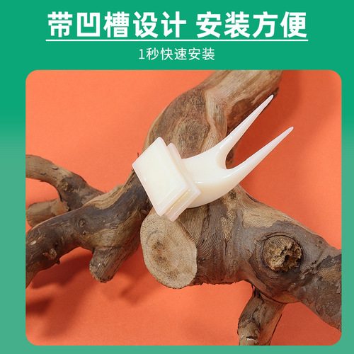 Bird fruit fork, vegetable clip, parrot bird food fork, plastic bird toy, birdcage, bird feeder, bird supplies