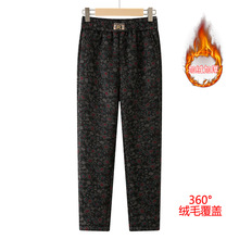 ������Ůѝ�ﶬ�ӽq�Ӻ񋌋�ѝ�����̌����ɾo��ֱͲ�����⴩�Lѝ