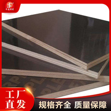 ĤSҴ ˮģ 11-18mm ܌Ⱥ