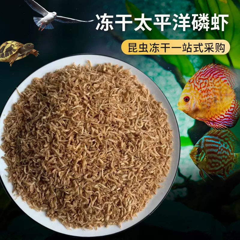 鹦鹉鱼观赏鱼饲料冻干太平洋鳞虾 热带鱼投喂鱼粮冻干太平洋鳞虾