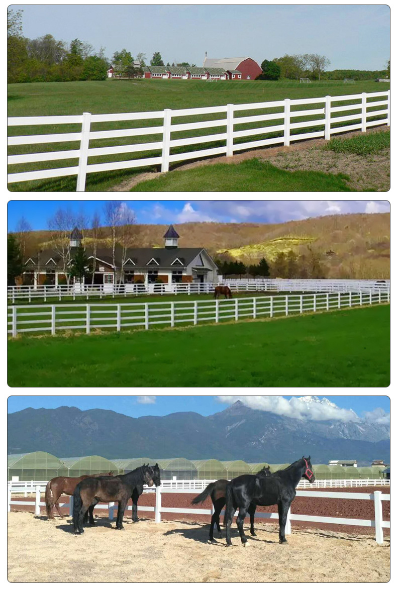 马场护栏_06.jpg