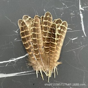 �S��ֱ�Nĸ�u�C����u�C�ṫɽ�u�C����ȻҰ�uDIY������ë�b�Ʒ