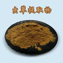 现货批发蛹虫草提取物10:1植物提取物 蛹虫草粉水溶金虫草菌丝粉