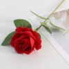 Pearl Rose-Red