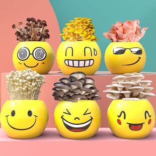 ��ͥ���Ա����̨Ģ���Nֲ�����NĢ��ʳ�þ��������޶YƷƽ�����b