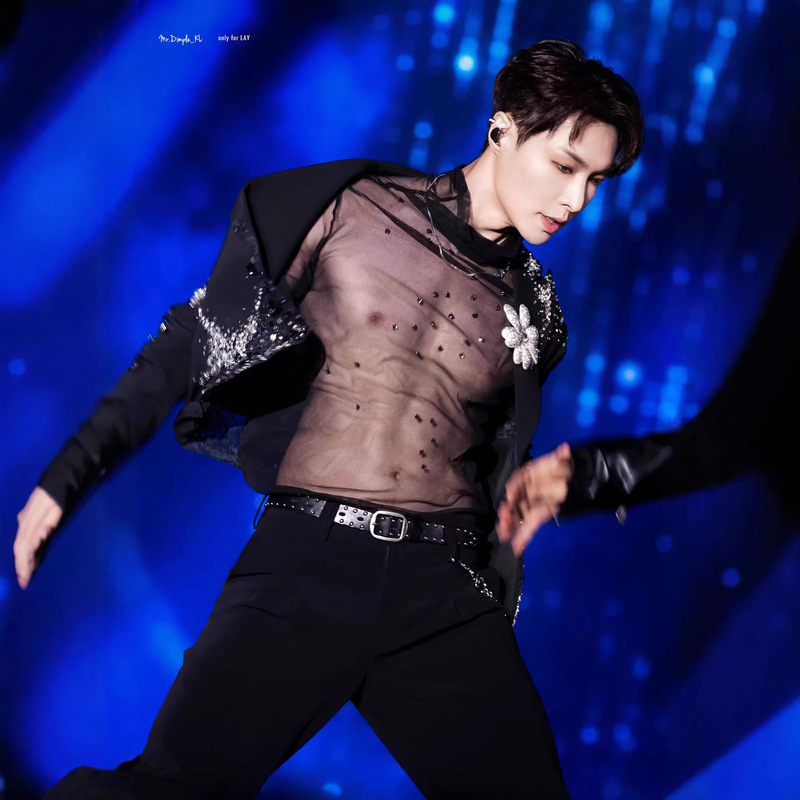Zhang Yixing's Same Style as the Traditional Chinese Sedan, High-Necked Mesh See-Through Outfit, Black Silk Top, Layered with Hollow-Out Transparent Performance Clothing