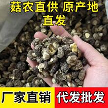 东北珍珠菇小香菇干货金钱菇小花菇剪角煲汤火锅食材批发一件代发