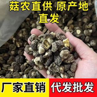 �|�����鹽С�㹽��؛���X��С���������Ҝ����ʳ�����lһ�����l