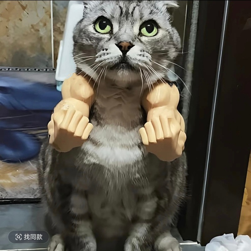 ハルク猫アームペット子犬のおもちゃ写真小道具 3D 印刷かわいい面白いクリエイティブ猫服バックパック|undefined