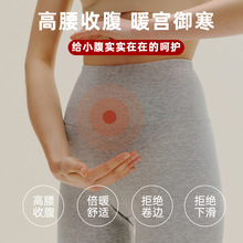 秋冬女士秋裤单秋裤 保暖纯色打底裤 薄款保暖内衣单秋裤批发