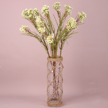 �D÷ ����÷�� ��ʽ��@�L��c�b��ҾӔ[���ٻ��zӰ�Ӱ��g�廨