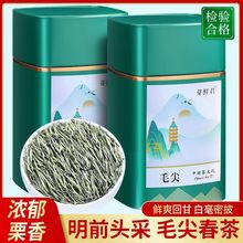 毛尖茶2023新茶明前嫩芽春茶绿茶浓香耐泡高山茶叶散装罐装250g