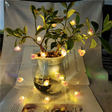 �S�����lϲ�R������Ȼˮ��ԭʯ�L�l�Շ����͏d����LED�b���