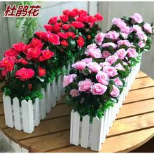 ���滨С�r�Ֆřڻ����b�ٻ����N���ɻ��b�Ʒ����ֲ�����Ԕ[��