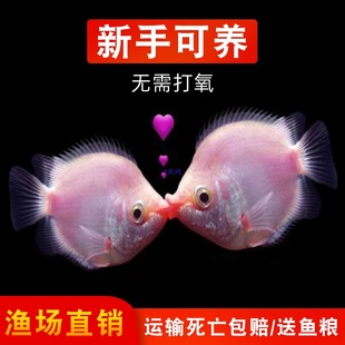 �����~�^�p�~��ˮ�~����B�ͻ�С�͟Ꭷ�~�H���~���R��ȸ������~