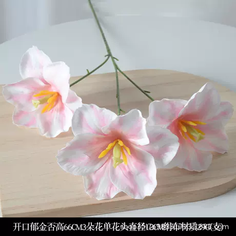 Open tulip pink