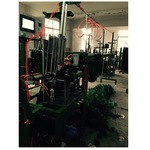 双线松针树机器