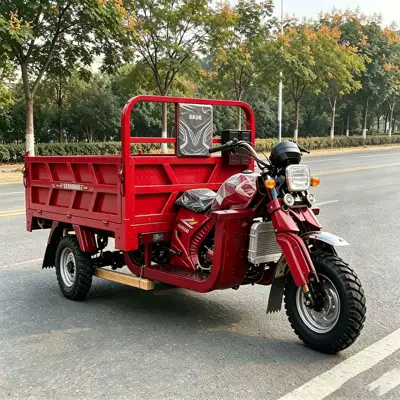 Specialized for Foreign Trade, Red Fuel-Powered Three-Wheeler for Household and Agricultural Use, Popular for Southeast Asia Cross-Border Passenger Transport and Commuting (Sərnişin üçtəkərli motosikllar)