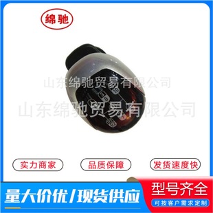 �Q�n�ֱ���WG9925240020�羳�����Ї��������ֿ�܇����Q�n�ֱ�