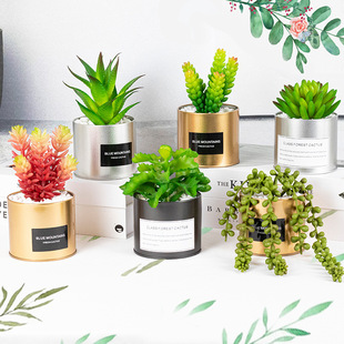Nordic Artificial Green Plant Plastic Fleshy Bonsai Indoor Desktop Fake Flower Decoration Artificial Green Plant Ornaments Fleshy Plant