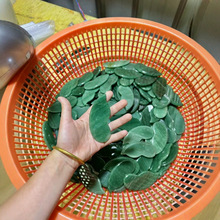 �|������J����壬2/Ƭ�S�����l�羳ֱ��ԭ��ʯ��̔[��