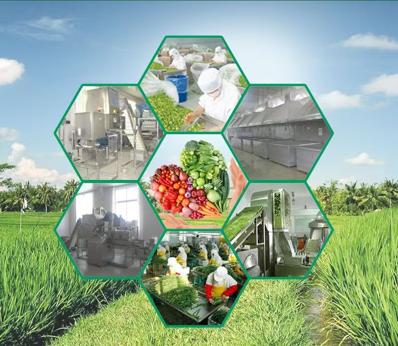 微信图片_20250115110358