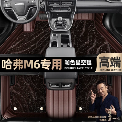 Ayaqaltılar (Kovriklər) — pads are suitable for Haval - curry-color-leather-curry-color-star-blanket-double-layer