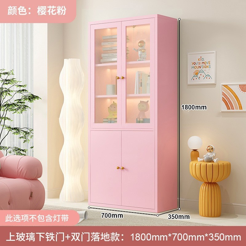 钢制书柜玻璃门防尘书架简约现代铁艺置物柜客厅储物柜家用展示柜|undefined