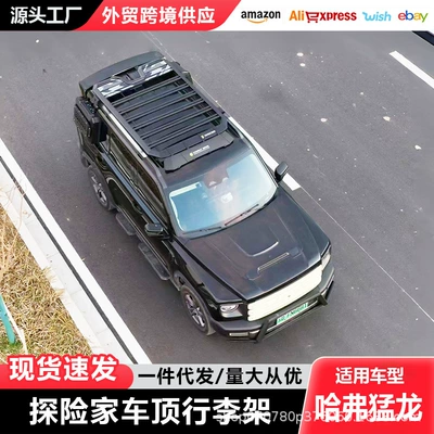 Haval Raptor Roof Rack Ladder Side Tent Off-Road Modified Roof Platform Outdoor Storage Rack Travel Rack