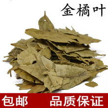 中药材新货桔叶金橘叶橘子叶 橘叶 桔子叶 金桔叶橘叶茶