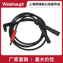 ����ȼ�ջ�ר��WG10N/1-D/20/30/40���缫��������̽��������
