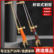 ؛Դ����G01-30/100�Ͳ��P�����ʽ��潨�B늺����I���߸����