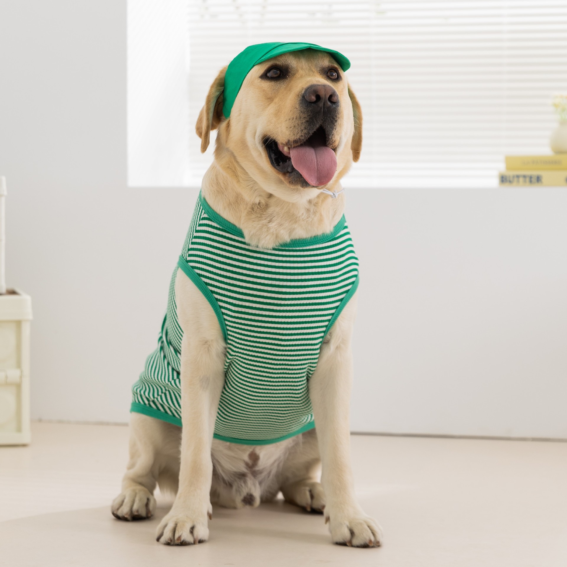 Ropa para perros grandes de estilo sencillo, sin mangas, con capucha, a rayas verdes, fina, para primavera y verano, transfronteriza.