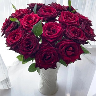 ���ڰͿ�õ�塿A��ϡ�нz�q�|�кڼtõ���r�л���ɫõ��������l