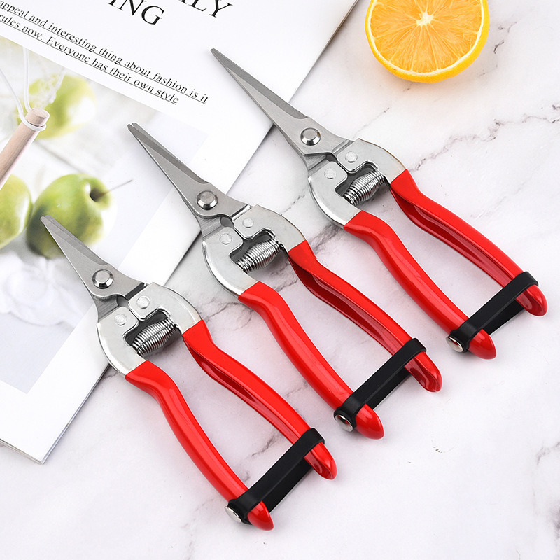 Cuchillo de jardín de acero inoxidable jardinería corte de flores maceta corte de ramas fábrica de árboles frutales en stock