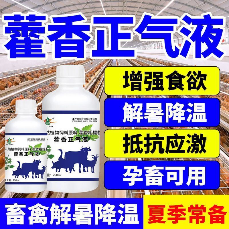 Huo Xiang Zheng Qi 液体は、鶏、アヒル、ガチョウ、熱中症予防、動物、家畜、豚、牛、羊の熱中症予防および熱ストレス予防用に使用されます。|undefined