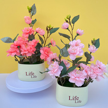 ���滨ɽ�軨����life������ֵ�����͏d���ҼҾ��b[���ٻ�