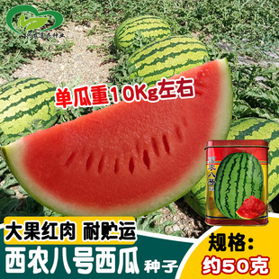 �������r��̖���ϷN�� �����½���ɰ��ϷN�� �ִ�tɳȿ������