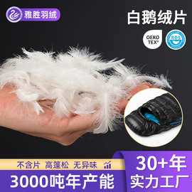标准 白鹅羽毛绒片 羽绒原料羽绒靠枕羽绒沙发抱枕座包坐垫填充料