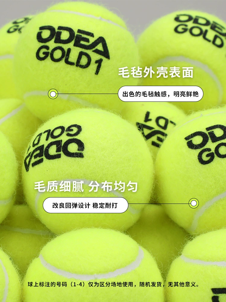 Сетевой мяч для тренировки ODEA Odea Tennis Training без давления DD1 DD2 DD3, полный набор