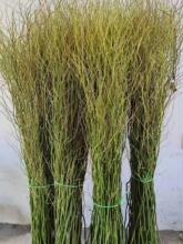 �����r֦�廨�͏d��ز�ˮֲ���׻��^�~ˮ���L���Ҿ��b�