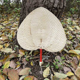 扇子夏季便携老式大蒲扇中国风家用婴儿古风扇芭蕉扇手工编织扇子